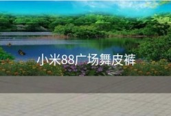 小米88广场舞皮裤