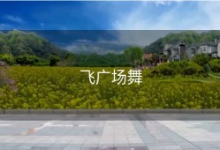 飞广场舞