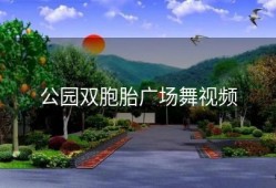 公园双胞胎广场舞视频