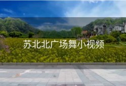 苏北北广场舞小视频