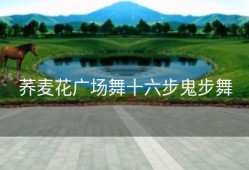 荞麦花广场舞十六步鬼步舞
