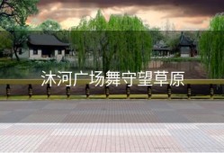 沐河广场舞守望草原