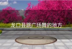 龙口县跳广场舞的地方