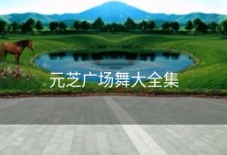 元芝广场舞大全集