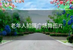 老年人拍摄广场舞图片
