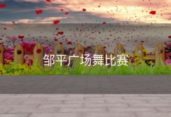 邹平广场舞比赛