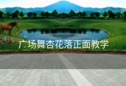 广场舞杏花落正面教学