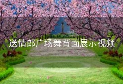 送情郎广场舞背面展示视频