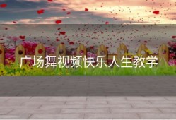 广场舞视频快乐人生教学