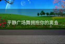 平静广场舞拥抱你的离去