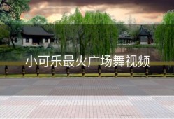 小可乐最火广场舞视频