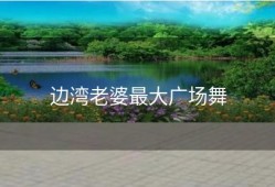 边湾老婆最大广场舞