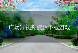 广场舞视频资源下载游戏