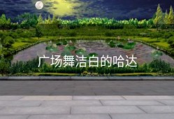 广场舞洁白的哈达