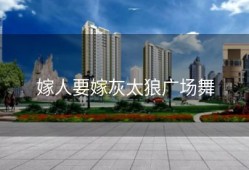 嫁人要嫁灰太狼广场舞