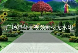 广场舞背面视频素材无水印