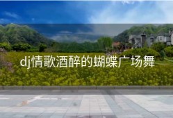 dj情歌酒醉的蝴蝶广场舞