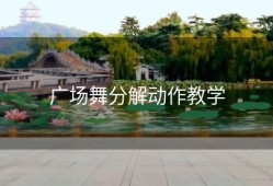 广场舞分解动作教学