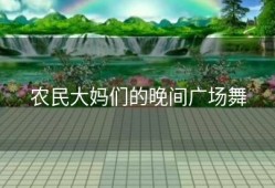 农民大妈们的晚间广场舞