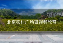 北京农村广场舞视频欣赏