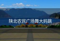 陕北农民广场舞大妈跳