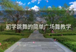 初学跳舞的简单广场舞教学