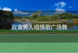 寂寞男人唱情歌广场舞