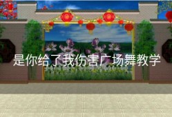 是你给了我伤害广场舞教学