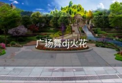 广场舞dj火花
