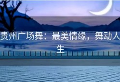 贵州广场舞：最美情缘，舞动人生