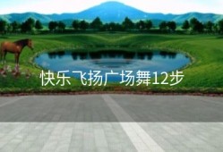 快乐飞扬广场舞12步