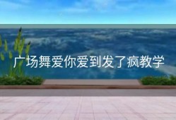 广场舞爱你爱到发了疯教学