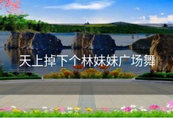 天上掉下个林妹妹广场舞