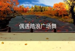 偶遇踏浪广场舞