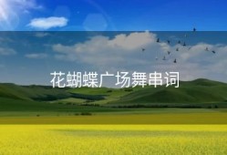花蝴蝶广场舞串词