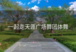 一起走天涯广场舞团体舞