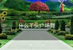 什么丫头广场舞