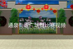 通泉街道广场舞比赛视频