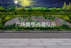 广场舞想西藏队形