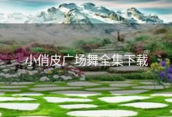 小俏皮广场舞全集下载