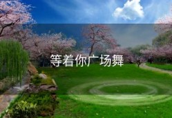 等着你广场舞