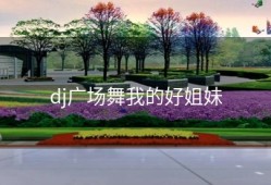 dj广场舞我的好姐妹
