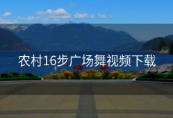 农村16步广场舞视频下载