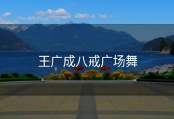 王广成八戒广场舞