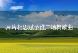 片片相思赋予谁广场舞歌曲