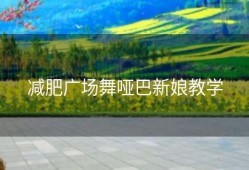 减肥广场舞哑巴新娘教学