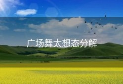 广场舞太想态分解