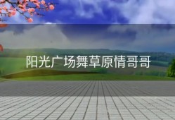 阳光广场舞草原情哥哥