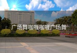 广场舞咖喱咖喱广场舞