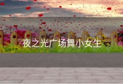 夜之光广场舞小女生